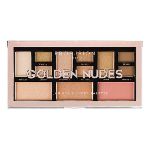 Набор для макияжа PROFUSION Golden Nudes Color Eye & Cheek Palette в NL International