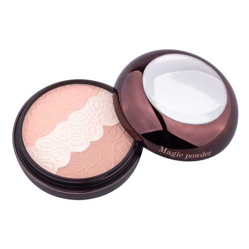 Пудра Eva Mosaic Magic Powder Светящаяся 9 г в NL International