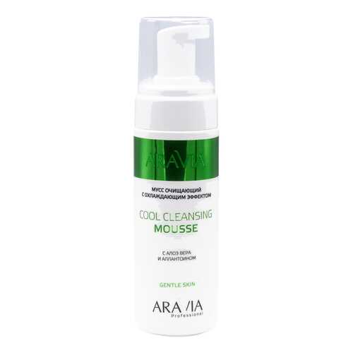 Мусс Aravia Professional Cool Cleansing Mousse 160 мл в NL International