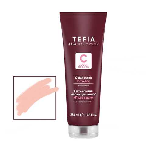 Маска для волос Tefia Color Creats Powder 250 мл в NL International